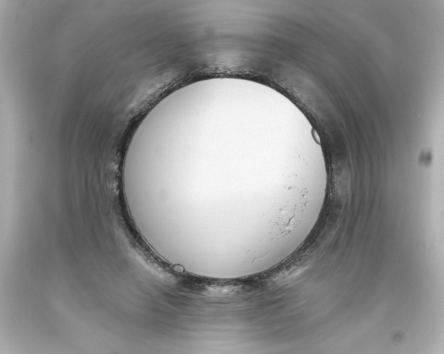 X0000093380450200711011253