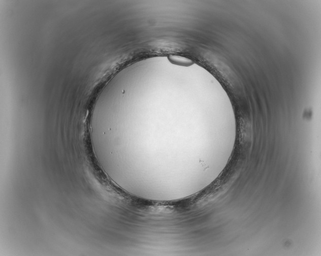 X0000093380451200711011253