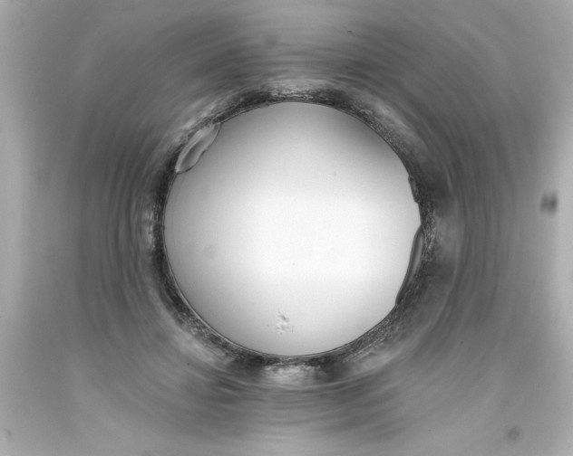 X0000093380452200711011253