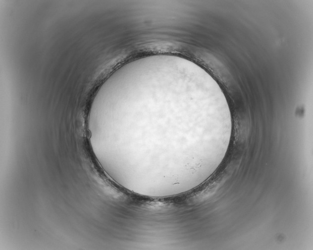 X0000093380453200711011253