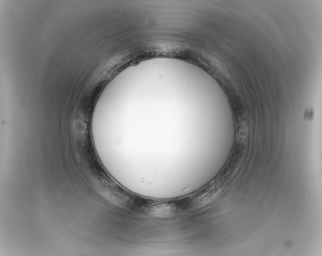 X0000093380456200711011253