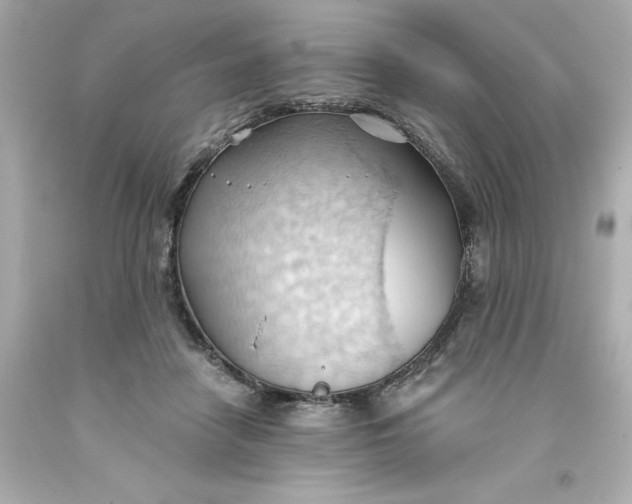 X0000093380458200711011253