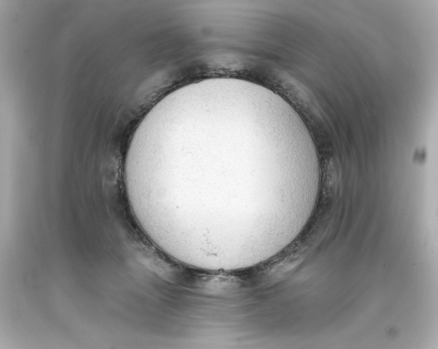 X0000093380463200711011253