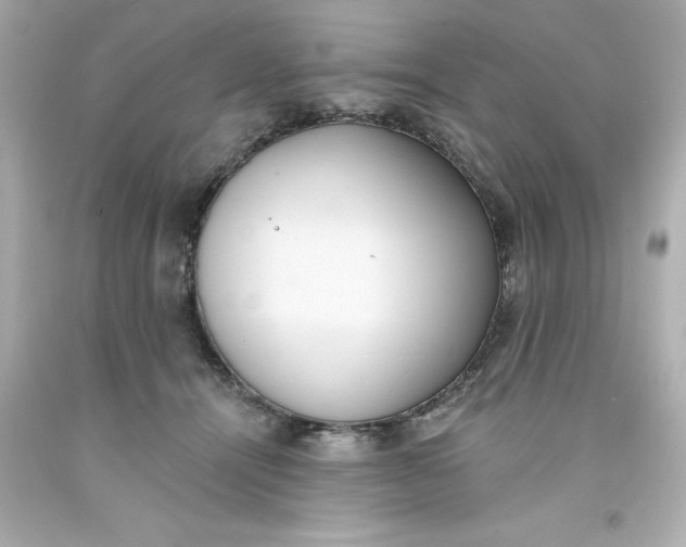 X0000093380464200711011253