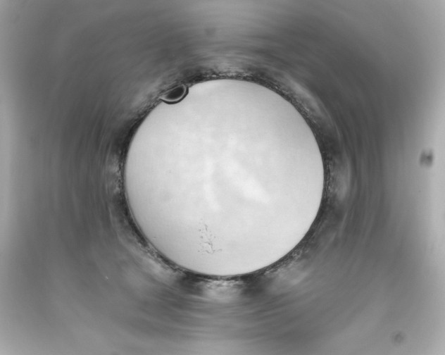 X0000093380465200711011253