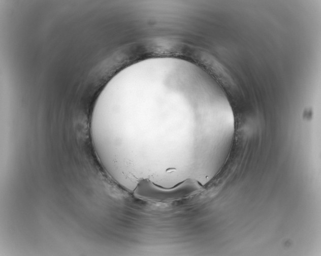 X0000093380469200711011253