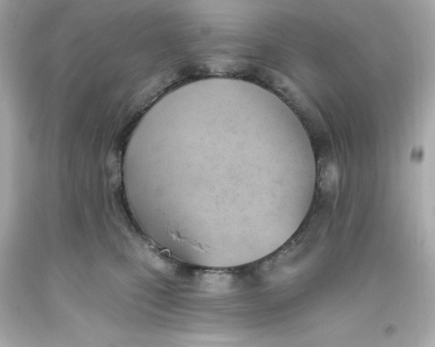 X0000093380471200711011253