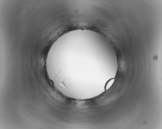 X0000093380472200711011253