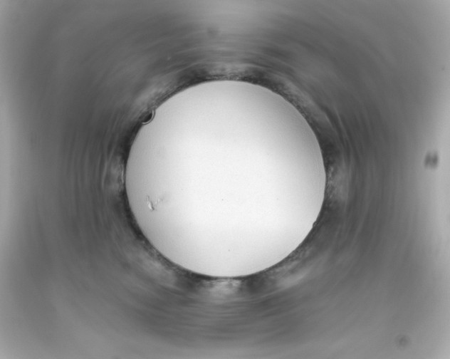 X0000093380474200711011253