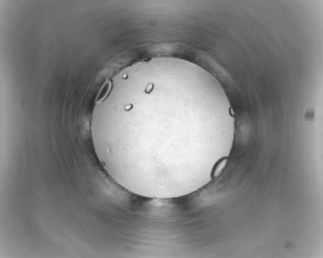 X0000093380477200711011253