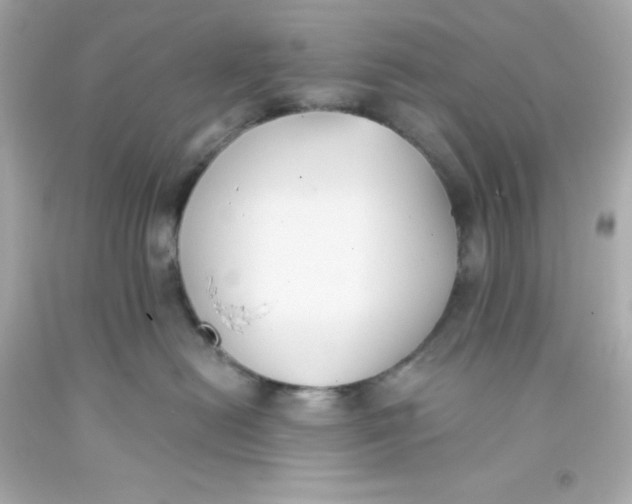 X0000093380478200711011253