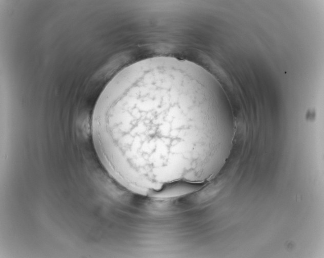 X0000093380479200711011253