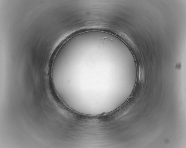 X0000093380483200711011253