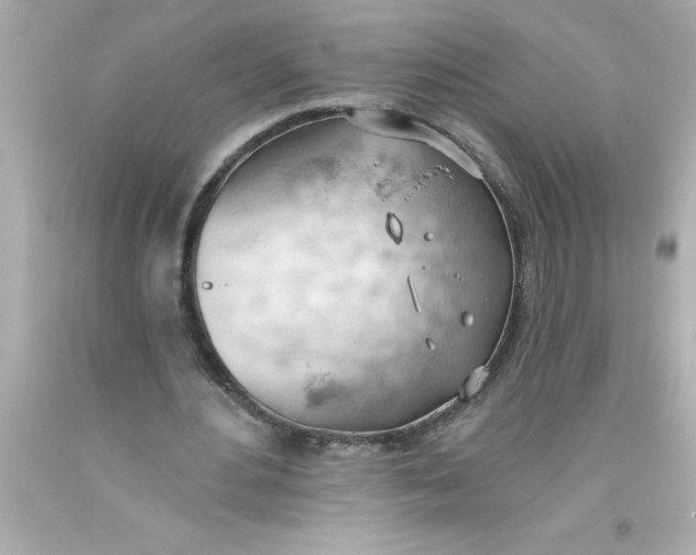 X0000093380484200711011253