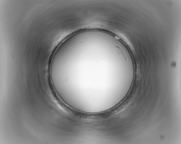 X0000093380485200711011253