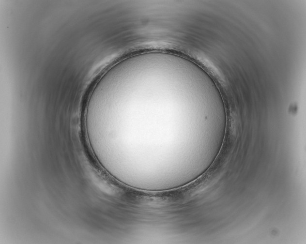 X0000093380486200711011253