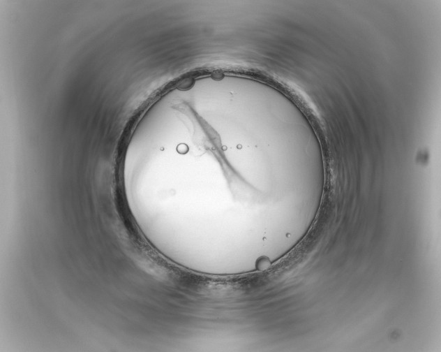 X0000093380487200711011253