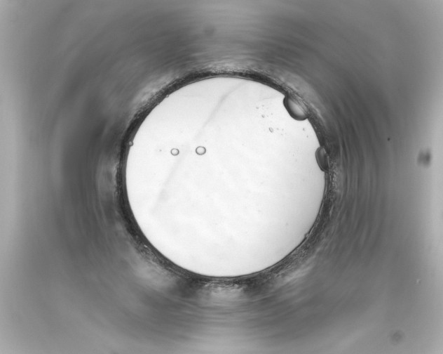 X0000093380491200711011252