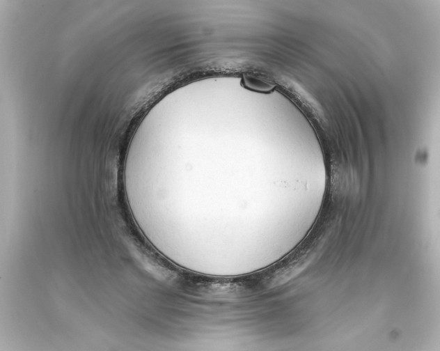 X0000093380493200711011252