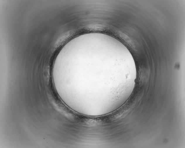 X0000093380494200711011252