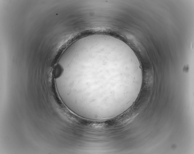 X0000093380495200711011252