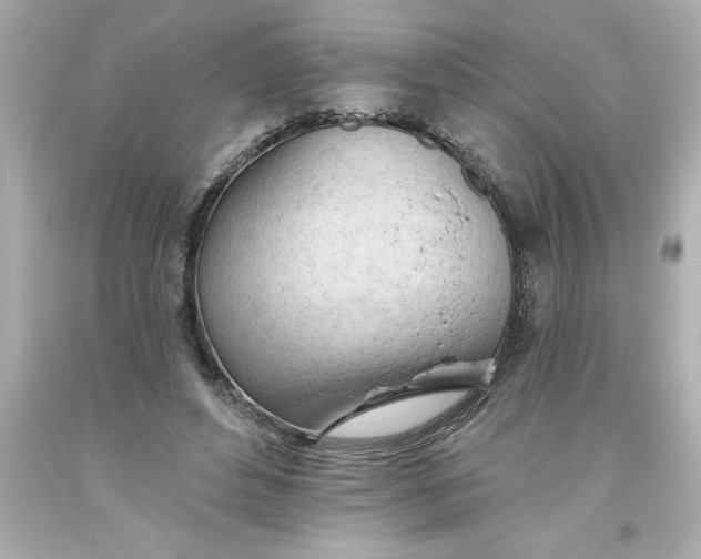 X0000093380496200711011252