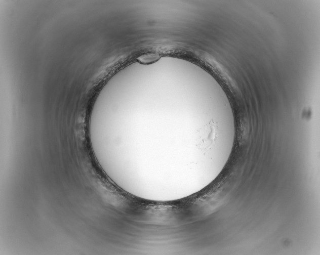 X0000093380497200711011252