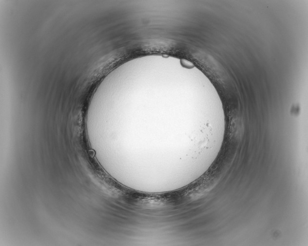 X0000093380498200711011252