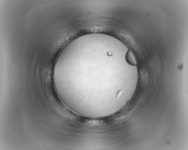 X0000093380499200711011252