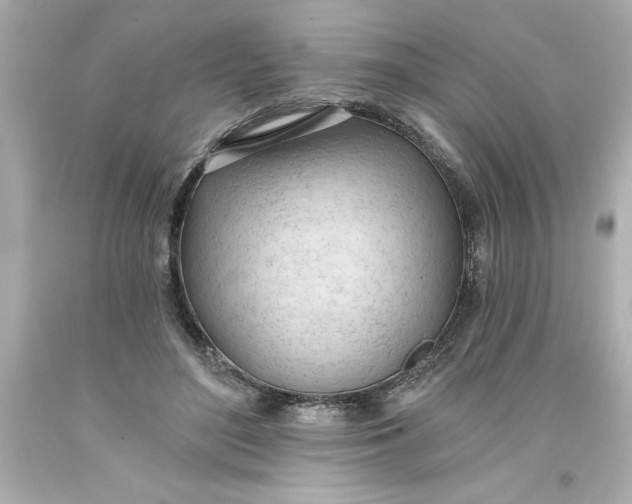 X0000093380500200711011252