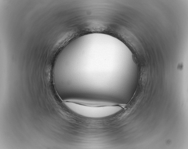 X0000093380501200711011252