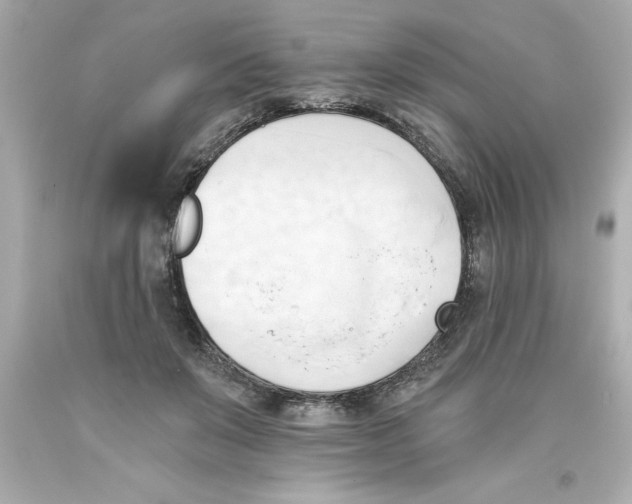 X0000093380503200711011252