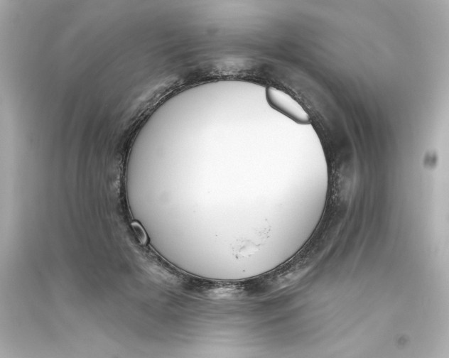 X0000093380505200711011252