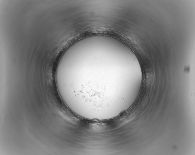 X0000093380508200711011252