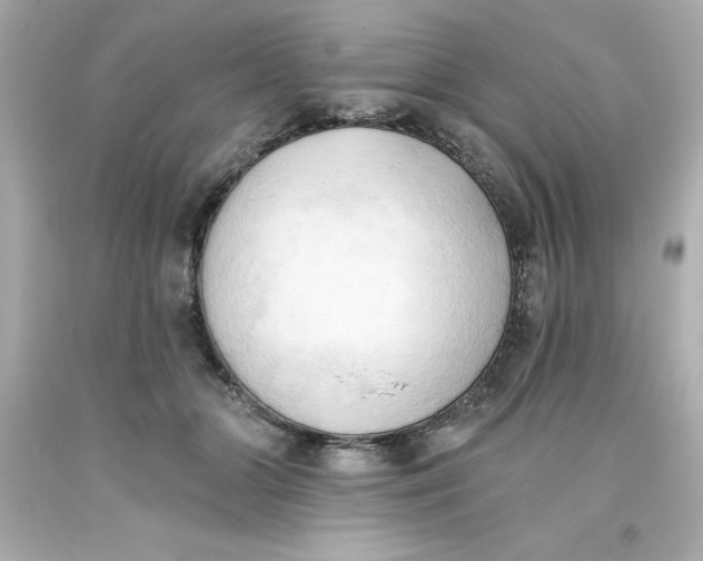 X0000093380510200711011252