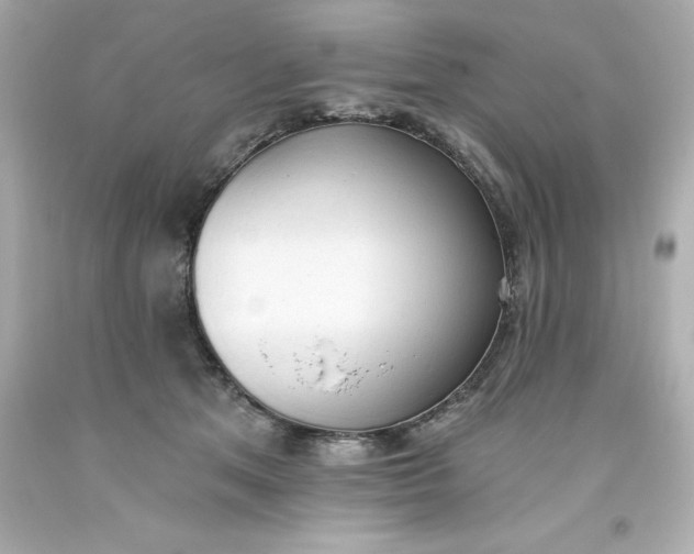 X0000093380513200711011252