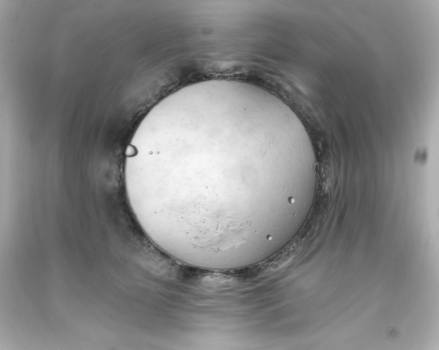 X0000093380515200711011252