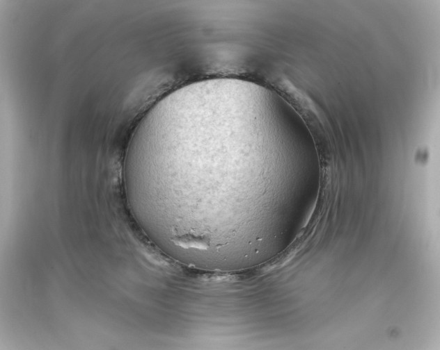 X0000093380517200711011252