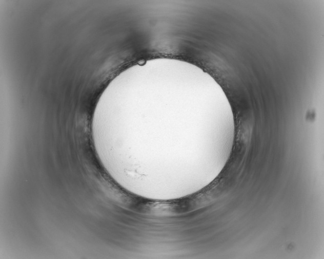 X0000093380518200711011252