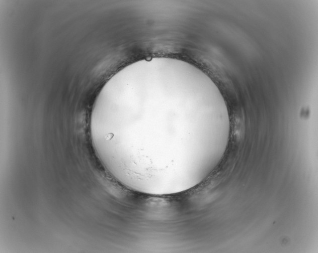 X0000093380519200711011252