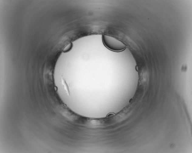 X0000093380522200711011252