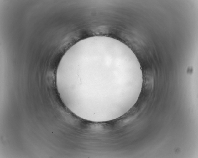 X0000093380523200711011252