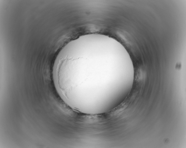 X0000093380524200711011252