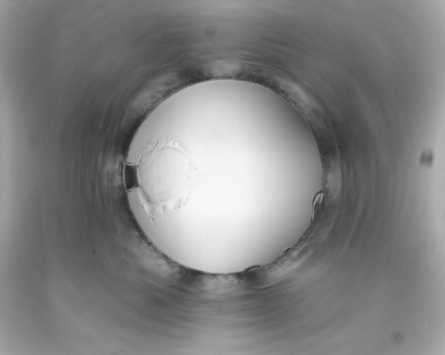 X0000093380525200711011252