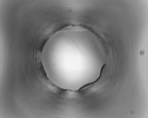 X0000093380528200711011252