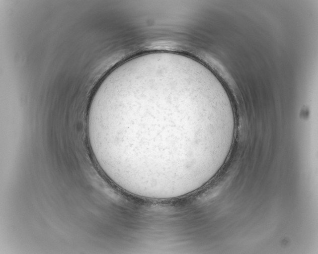 X0000093380529200711011251