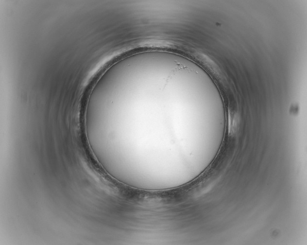 X0000093380531200711011251