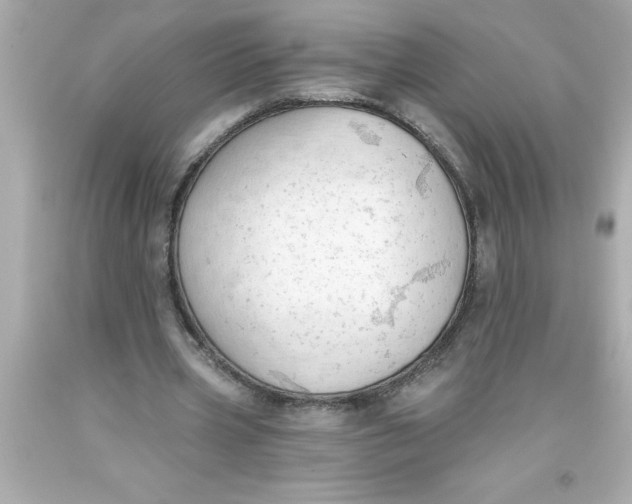 X0000093380533200711011251