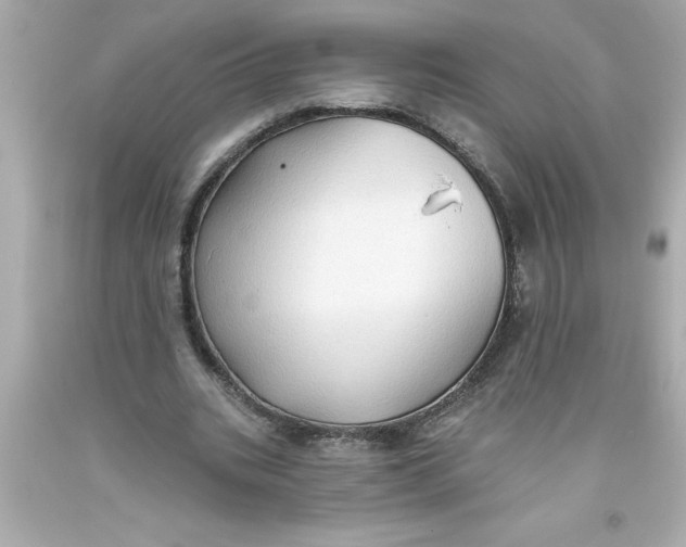 X0000093380535200711011251