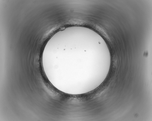 X0000093380538200711011252